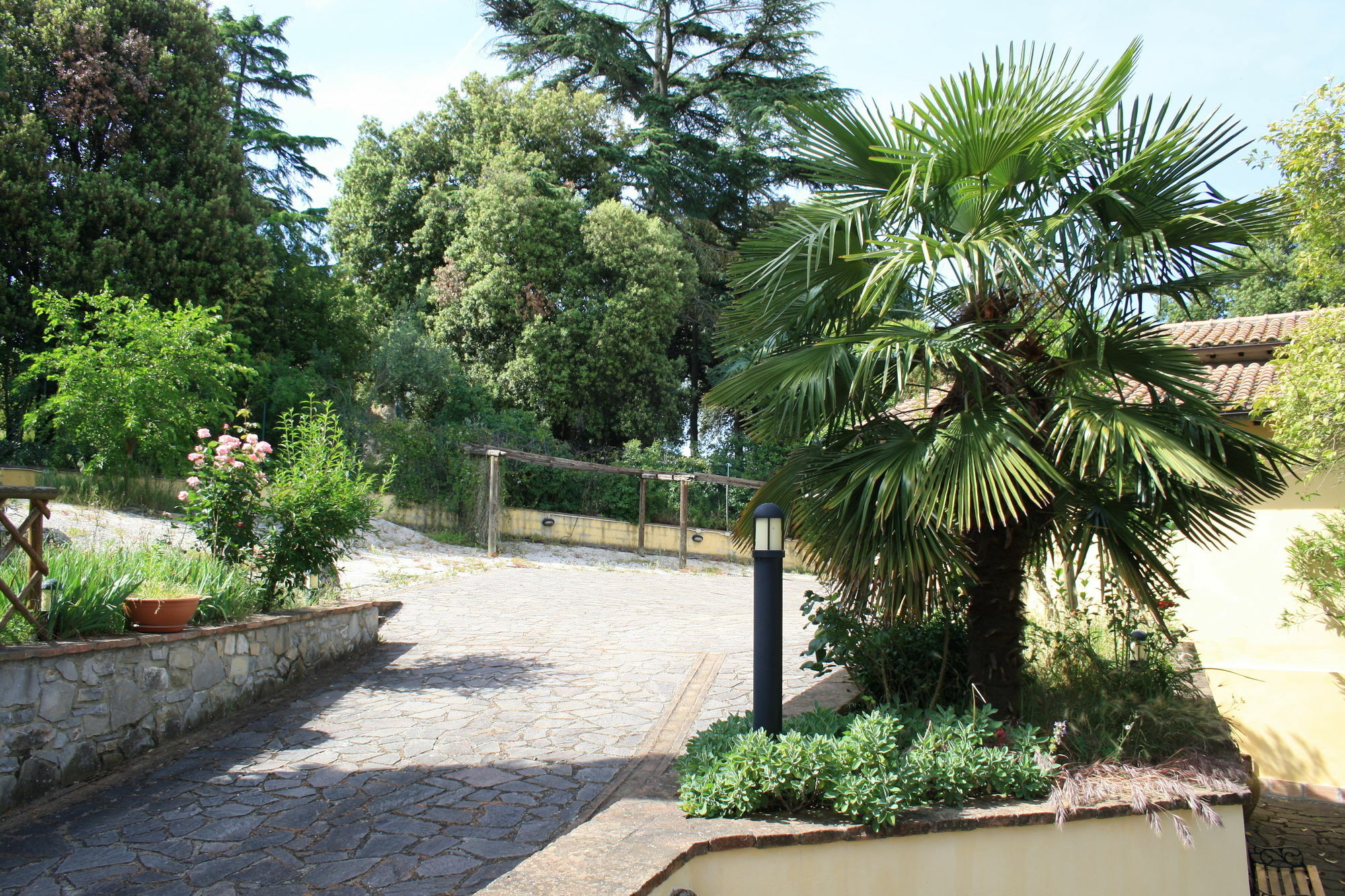 Un Petit Paradis Castiglione Della Valle Exterior photo